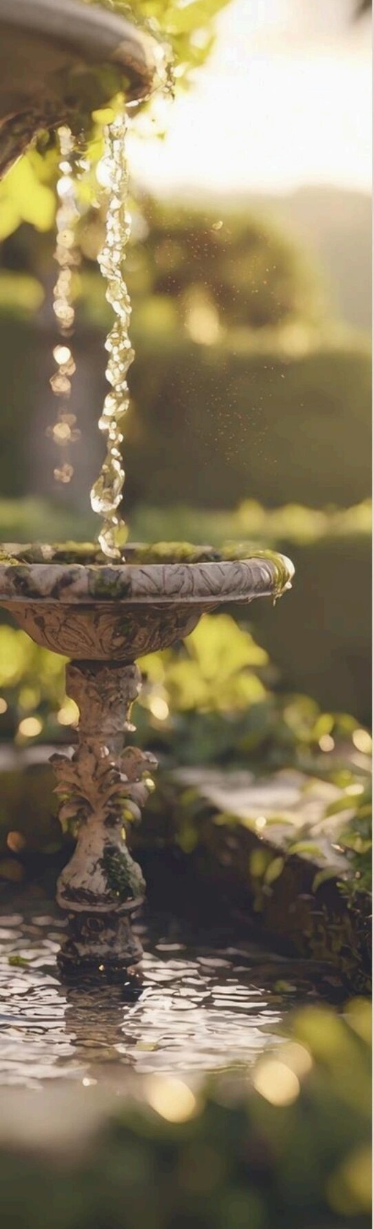 Detalhe da fonte do jardim